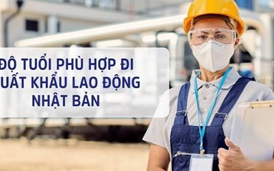 Độ Tuổi Xuất Khẩu Lao Động Nhật Bản: Quá Tuổi Có Đi Được Không?
