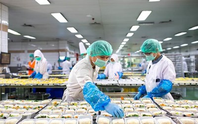 Đơn Hàng Công Xưởng Nhật Bản: Lựa Chọn Hàng Đầu Lương Cao