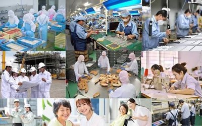 Các Công Việc Xuất Khẩu Lao Động Nhật Bản Phổ Biến Nhất 2026