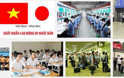 Đi Xuất Khẩu Lao Động Nhật Bản Có Cần Bằng Cấp 3 Không? Quy Định 2026