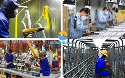 Các Đơn Hàng Đi Xuất Khẩu Lao Động Nhật Bản Lương Cao 2026